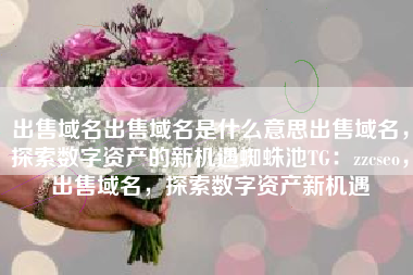 出售域名出售域名是什么意思出售域名，探索数字资产的新机遇蜘蛛池TG：zzcseo，出售域名，探索数字资产新机遇