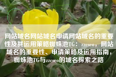 网站域名网站域名申请网站域名的重要性及其运用策略蜘蛛池TG：zzcseo，网站域名的重要性、申请策略及运用指南，蜘蛛池TG与zzcseo的域名探索之路