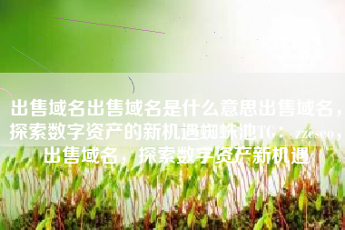 出售域名出售域名是什么意思出售域名，探索数字资产的新机遇蜘蛛池TG：zzcseo，出售域名，探索数字资产新机遇