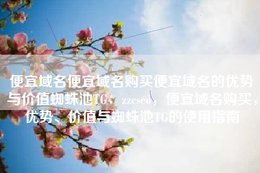 便宜域名便宜域名购买便宜域名的优势与价值蜘蛛池TG：zzcseo，便宜域名购买，优势、价值与蜘蛛池TG的使用指南