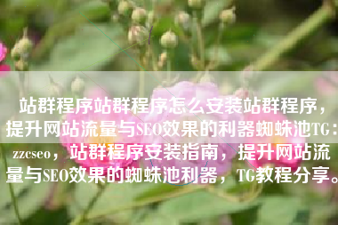站群程序站群程序怎么安装站群程序，提升网站流量与SEO效果的利器蜘蛛池TG：zzcseo，站群程序安装指南，提升网站流量与SEO效果的蜘蛛池利器，TG教程分享。