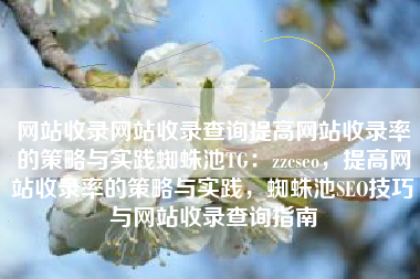 网站收录网站收录查询提高网站收录率的策略与实践蜘蛛池TG：zzcseo，提高网站收录率的策略与实践，蜘蛛池SEO技巧与网站收录查询指南