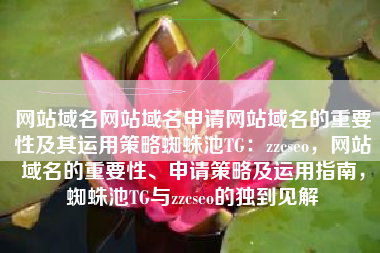 网站域名网站域名申请网站域名的重要性及其运用策略蜘蛛池TG：zzcseo，网站域名的重要性、申请策略及运用指南，蜘蛛池TG与zzcseo的独到见解