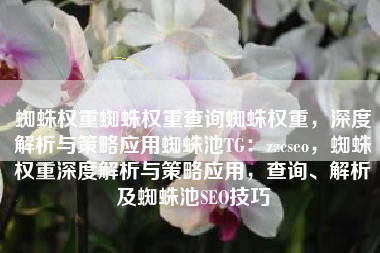 蜘蛛权重蜘蛛权重查询蜘蛛权重，深度解析与策略应用蜘蛛池TG：zzcseo，蜘蛛权重深度解析与策略应用，查询、解析及蜘蛛池SEO技巧