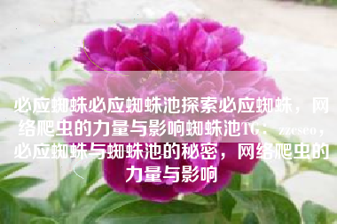 必应蜘蛛必应蜘蛛池探索必应蜘蛛，网络爬虫的力量与影响蜘蛛池TG：zzcseo，必应蜘蛛与蜘蛛池的秘密，网络爬虫的力量与影响