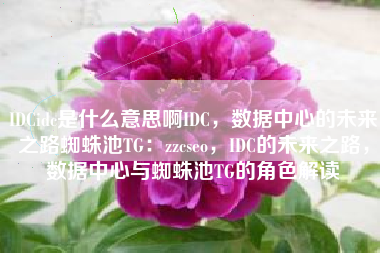 IDCidc是什么意思啊IDC，数据中心的未来之路蜘蛛池TG：zzcseo，IDC的未来之路，数据中心与蜘蛛池TG的角色解读
