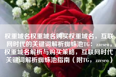 权重域名权重域名购买权重域名，互联网时代的关键词解析蜘蛛池TG：zzcseo，权重域名解析与购买策略，互联网时代关键词解析蜘蛛池指南（附TG，zzcseo）
