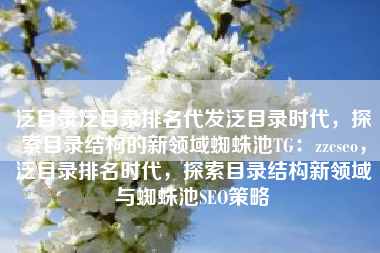 泛目录泛目录排名代发泛目录时代，探索目录结构的新领域蜘蛛池TG：zzcseo，泛目录排名时代，探索目录结构新领域与蜘蛛池SEO策略