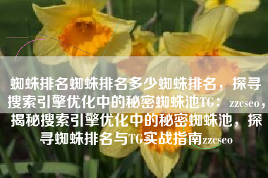 蜘蛛排名蜘蛛排名多少蜘蛛排名，探寻搜索引擎优化中的秘密蜘蛛池TG：zzcseo，揭秘搜索引擎优化中的秘密蜘蛛池，探寻蜘蛛排名与TG实战指南zzcseo