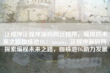 泛程序泛程序源码网泛程序，编程的未来之路蜘蛛池TG：zzcseo，泛程序源码网，探索编程未来之路，蜘蛛池TG助力发展