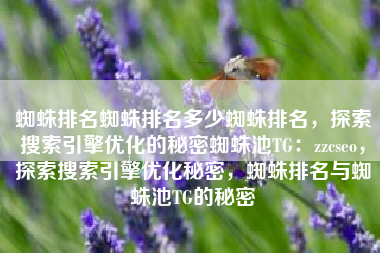 蜘蛛排名蜘蛛排名多少蜘蛛排名，探索搜索引擎优化的秘密蜘蛛池TG：zzcseo，探索搜索引擎优化秘密，蜘蛛排名与蜘蛛池TG的秘密
