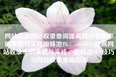 网站收录网站收录查询提高网站收录率的策略与实践蜘蛛池TG：zzcseo，提高网站收录率的策略与实践，蜘蛛池SEO技巧与网站收录查询指南