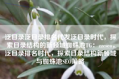 泛目录泛目录排名代发泛目录时代，探索目录结构的新领域蜘蛛池TG：zzcseo，泛目录排名时代，探索目录结构新领域与蜘蛛池SEO策略