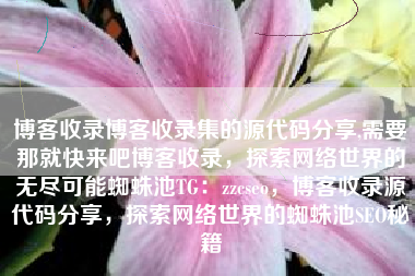 博客收录博客收录集的源代码分享,需要那就快来吧博客收录，探索网络世界的无尽可能蜘蛛池TG：zzcseo，博客收录源代码分享，探索网络世界的蜘蛛池SEO秘籍