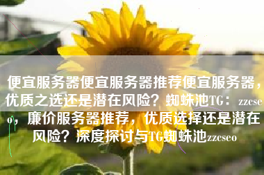 便宜服务器便宜服务器推荐便宜服务器，优质之选还是潜在风险？蜘蛛池TG：zzcseo，廉价服务器推荐，优质选择还是潜在风险？深度探讨与TG蜘蛛池zzcseo