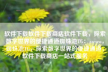 软件下载软件下载商店软件下载，探索数字世界的便捷通道蜘蛛池TG：zzcseo，蜘蛛池TG，探索数字世界的便捷通道，软件下载商店一站式服务