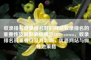 收录排名收录排名好的网站收录排名的重要性及其影响蜘蛛池TG：zzcseo，收录排名的重要性及其影响，优质网站与蜘蛛池策略