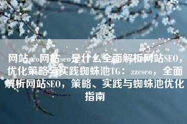 网站seo网站seo是什么全面解析网站SEO，优化策略与实践蜘蛛池TG：zzcseo，全面解析网站SEO，策略、实践与蜘蛛池优化指南