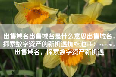 出售域名出售域名是什么意思出售域名，探索数字资产的新机遇蜘蛛池TG：zzcseo，出售域名，探索数字资产新机遇