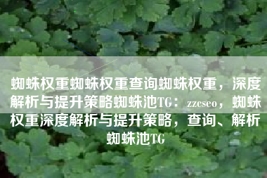 蜘蛛权重蜘蛛权重查询蜘蛛权重，深度解析与提升策略蜘蛛池TG：zzcseo，蜘蛛权重深度解析与提升策略，查询、解析蜘蛛池TG