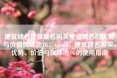 便宜域名便宜域名购买便宜域名的优势与价值蜘蛛池TG：zzcseo，便宜域名购买，优势、价值与蜘蛛池TG的使用指南
