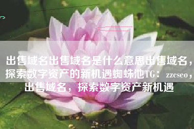 出售域名出售域名是什么意思出售域名，探索数字资产的新机遇蜘蛛池TG：zzcseo，出售域名，探索数字资产新机遇