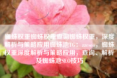 蜘蛛权重蜘蛛权重查询蜘蛛权重，深度解析与策略应用蜘蛛池TG：zzcseo，蜘蛛权重深度解析与策略应用，查询、解析及蜘蛛池SEO技巧