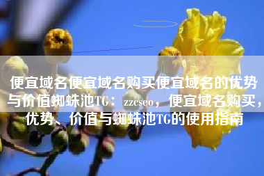便宜域名便宜域名购买便宜域名的优势与价值蜘蛛池TG：zzcseo，便宜域名购买，优势、价值与蜘蛛池TG的使用指南