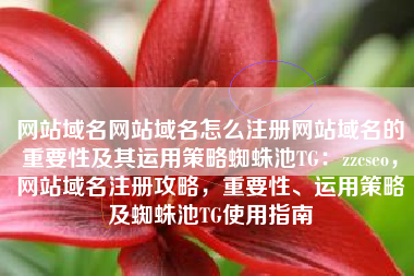 网站域名网站域名怎么注册网站域名的重要性及其运用策略蜘蛛池TG：zzcseo，网站域名注册攻略，重要性、运用策略及蜘蛛池TG使用指南