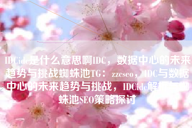 IDCidc是什么意思啊IDC，数据中心的未来趋势与挑战蜘蛛池TG：zzcseo，IDC与数据中心的未来趋势与挑战，IDCidc解析与蜘蛛池SEO策略探讨