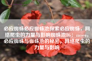 必应蜘蛛必应蜘蛛池探索必应蜘蛛，网络爬虫的力量与影响蜘蛛池TG：zzcseo，必应蜘蛛与蜘蛛池的秘密，网络爬虫的力量与影响