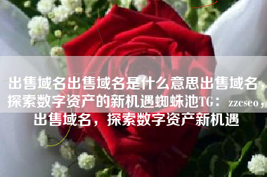 出售域名出售域名是什么意思出售域名，探索数字资产的新机遇蜘蛛池TG：zzcseo，出售域名，探索数字资产新机遇
