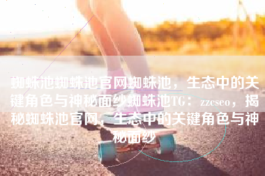 蜘蛛池蜘蛛池官网蜘蛛池，生态中的关键角色与神秘面纱蜘蛛池TG：zzcseo，揭秘蜘蛛池官网，生态中的关键角色与神秘面纱