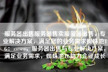 服务器出售服务器售卖服务器出售，专业解决方案，满足您的业务需求蜘蛛池TG：zzcseo，服务器出售与专业解决方案，满足业务需求，蜘蛛池TG助力企业成长
