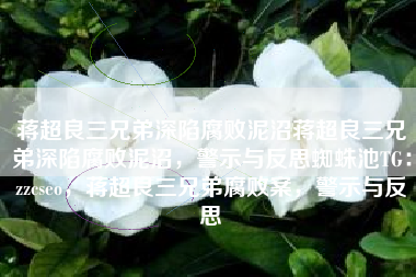 蒋超良三兄弟深陷腐败泥沼蒋超良三兄弟深陷腐败泥沼，警示与反思蜘蛛池TG：zzcseo，蒋超良三兄弟腐败案，警示与反思