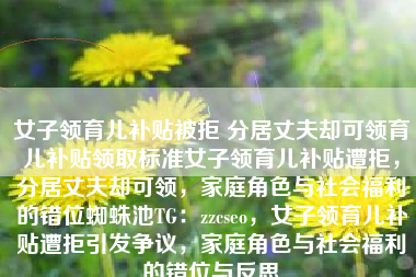 女子领育儿补贴被拒 分居丈夫却可领育儿补贴领取标准女子领育儿补贴遭拒，分居丈夫却可领，家庭角色与社会福利的错位蜘蛛池TG：zzcseo，女子领育儿补贴遭拒引发争议，家庭角色与社会福利的错位与反思