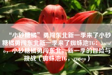 “小砂糖橘”勇闯东北新一季来了小砂糖橘勇闯东北新一季来了蜘蛛池TG：zzcseo，小砂糖橘勇闯东北，新一季的冒险与挑战（蜘蛛池TG，zzcseo）