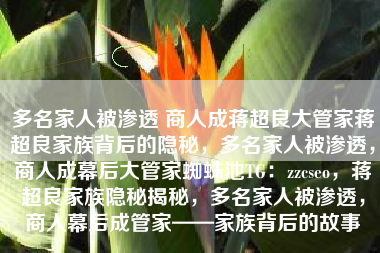 多名家人被渗透 商人成蒋超良大管家蒋超良家族背后的隐秘，多名家人被渗透，商人成幕后大管家蜘蛛池TG：zzcseo，蒋超良家族隐秘揭秘，多名家人被渗透，商人幕后成管家——家族背后的故事