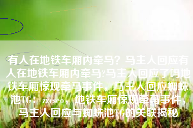 有人在地铁车厢内牵马？马主人回应有人在地铁车厢内牵马?马主人回应了吗地铁车厢惊现牵马事件，马主人回应蜘蛛池TG：zzcseo，地铁车厢惊现牵马事件，马主人回应与蜘蛛池TG的关联揭秘