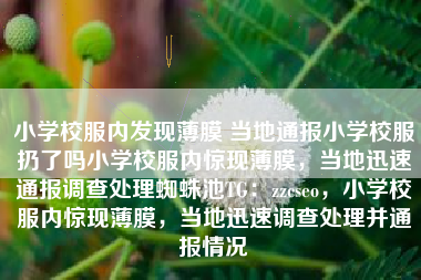 小学校服内发现薄膜 当地通报小学校服扔了吗小学校服内惊现薄膜，当地迅速通报调查处理蜘蛛池TG：zzcseo，小学校服内惊现薄膜，当地迅速调查处理并通报情况