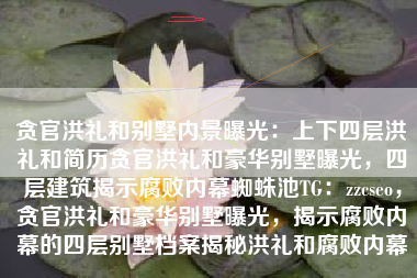 贪官洪礼和别墅内景曝光：上下四层洪礼和简历贪官洪礼和豪华别墅曝光，四层建筑揭示腐败内幕蜘蛛池TG：zzcseo，贪官洪礼和豪华别墅曝光，揭示腐败内幕的四层别墅档案揭秘洪礼和腐败内幕