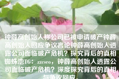 钟薛高创始人称公司已被申请破产钟薛高创始人回应争议言论钟薛高创始人透露公司面临破产危机？探究背后的真相蜘蛛池TG：zzcseo，钟薛高创始人透露公司面临破产危机？深度探究背后的真相与争议回应。
