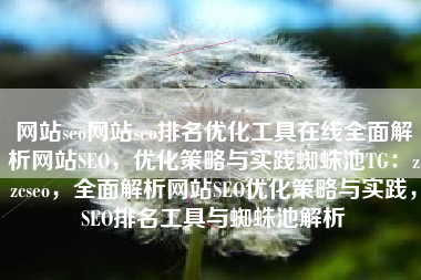 网站seo网站seo排名优化工具在线全面解析网站SEO，优化策略与实践蜘蛛池TG：zzcseo，全面解析网站SEO优化策略与实践，SEO排名工具与蜘蛛池解析