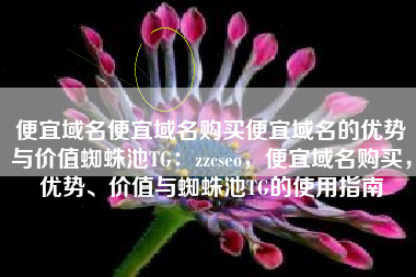 便宜域名便宜域名购买便宜域名的优势与价值蜘蛛池TG：zzcseo，便宜域名购买，优势、价值与蜘蛛池TG的使用指南