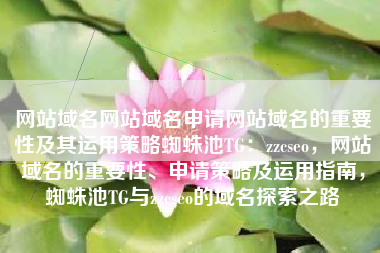 网站域名网站域名申请网站域名的重要性及其运用策略蜘蛛池TG：zzcseo，网站域名的重要性、申请策略及运用指南，蜘蛛池TG与zzcseo的域名探索之路