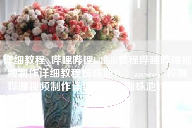 详细教程_哔哩哔哩bilibili教程哔哩哔哩视频制作详细教程蜘蛛池TG：zzcseo，哔哩哔哩视频制作详细教程，蜘蛛池TG操作指南