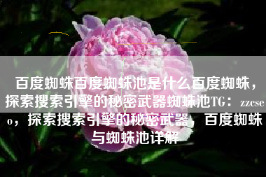 百度蜘蛛百度蜘蛛池是什么百度蜘蛛，探索搜索引擎的秘密武器蜘蛛池TG：zzcseo，探索搜索引擎的秘密武器，百度蜘蛛与蜘蛛池详解