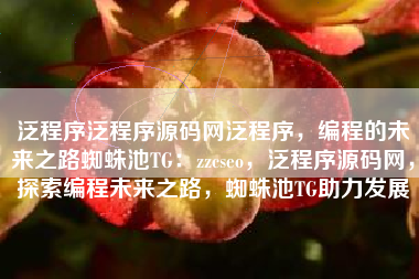 泛程序泛程序源码网泛程序，编程的未来之路蜘蛛池TG：zzcseo，泛程序源码网，探索编程未来之路，蜘蛛池TG助力发展