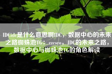 IDCidc是什么意思啊IDC，数据中心的未来之路蜘蛛池TG：zzcseo，IDC的未来之路，数据中心与蜘蛛池TG的角色解读