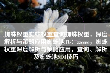 蜘蛛权重蜘蛛权重查询蜘蛛权重，深度解析与策略应用蜘蛛池TG：zzcseo，蜘蛛权重深度解析与策略应用，查询、解析及蜘蛛池SEO技巧